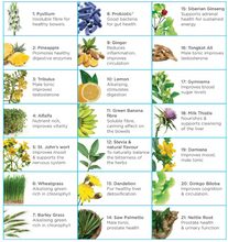 Load image into Gallery viewer, Man21 – Hormonal & Vitality Support Supplement for Men