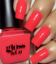 Load image into Gallery viewer, A Colour Pack - Facial Impressions