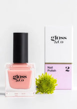 Load image into Gallery viewer, A Colour Pack - Facial Impressions