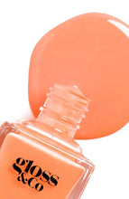 Load image into Gallery viewer, Sherbet - Facial Impressions