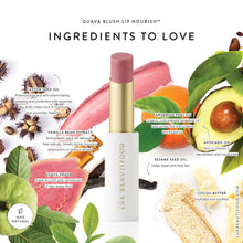 Load image into Gallery viewer, Lip Nourish™ Lipstick - Guava Blush

