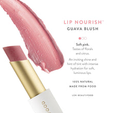 Load image into Gallery viewer, Lip Nourish™ - Guava Blush - Facial Impressions
