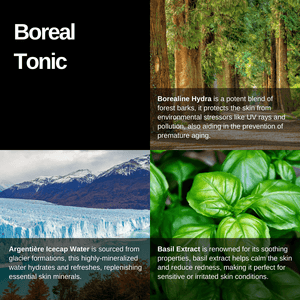 Rawceuticals™ Boreal Tonic™ Face Toner 120 ML RRP $80 - Facial Impressions