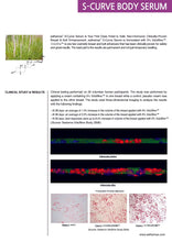 Load image into Gallery viewer, S Curve Contouring Serum - Facial Impressions
