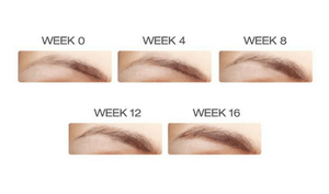 Lashfood Brow Enhancing Serum - Facial Impressions